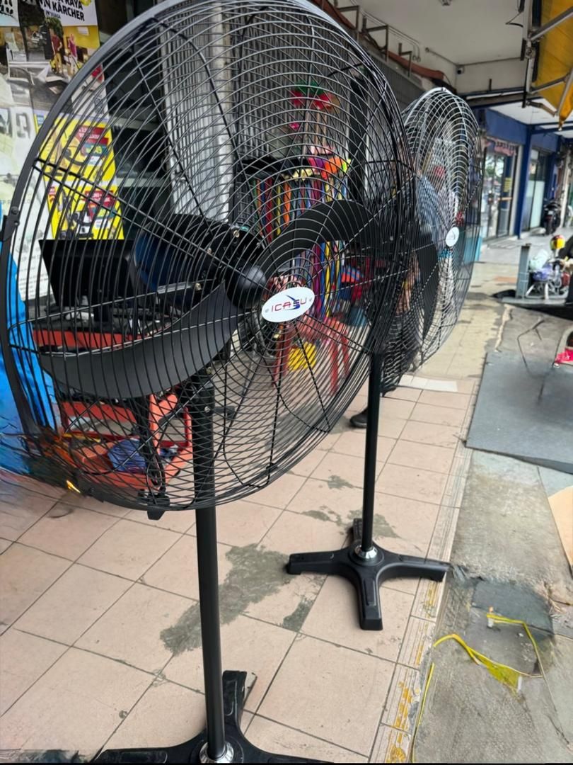 Fans
